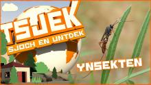 Tsjek 22 maaie 2018