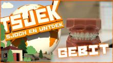 Tsjek 20 novimber 2017