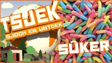 Tsjek 13 novimber 2017