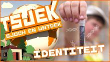 Tsjek 11 septimber 2017