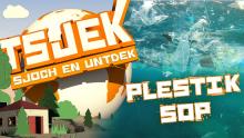 Tsjek 8 maaie 2017