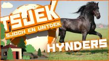 Tsjek 23 jannewaris 2017