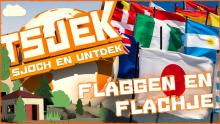 Tsjek 17 jannewaris 2017