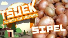 Tsjek 27 septimber 2016