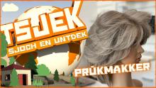 Tsjek 29 maart 2016