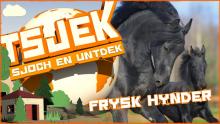 Tsjek 23 febrewaris 2016