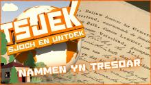 Tsjek 19 jannewaris 2016