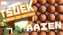 Tsjek 31 maart 2015
