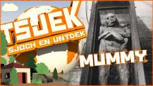 Tsjek hichtepunten jannewaris en febrewaris 2015