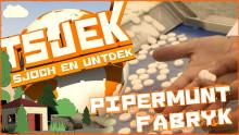 Tsjek 11 novimber 2014