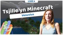 Tsjille_yn_Minecraft_11_19-11-2020_DUB.mp4