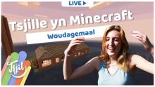 Tsjille_yn_Minecraft_12_26-11-2020_DUB