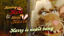 KHHH_54_Harry_is_noait_bang