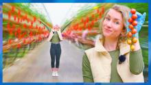 Tsjil_international_kassen_12-4-2023_TSJIL